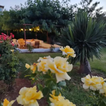 Villa Lemon Garden *